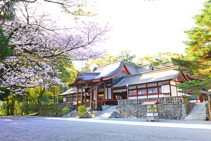重要文化財　鹿児島神宮（霧島市隼人町）